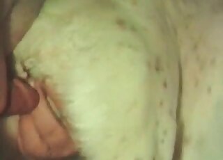 Doggy style fuck session to keep you real horny