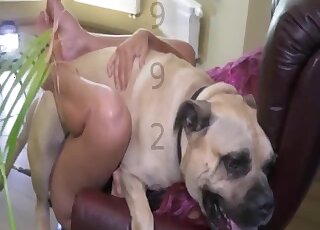 Leather corset hoe screwed a sexy animal here