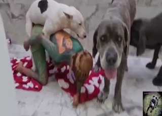 Girl in the oddest bodysuit bangs her dog