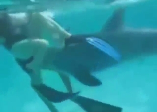 Dolphin porn movie with a sexy animal being hot