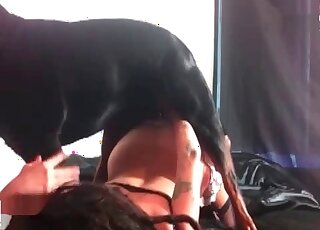 Brutal evil dog in bestiality porn