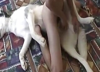 Young babe is riding on her lovely dog