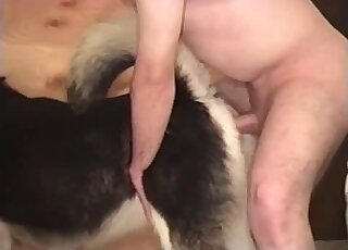 Prachtig klein hondje krijgt veel plezier