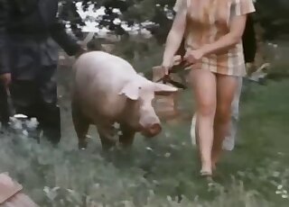 Bestiality Porn New Pig